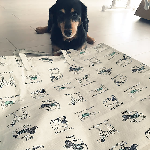 ohanaさんの実例写真