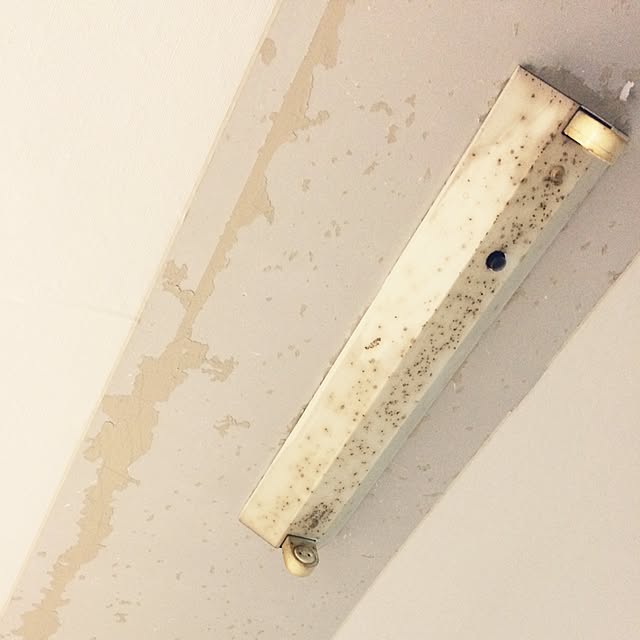 hirokoさんの実例写真