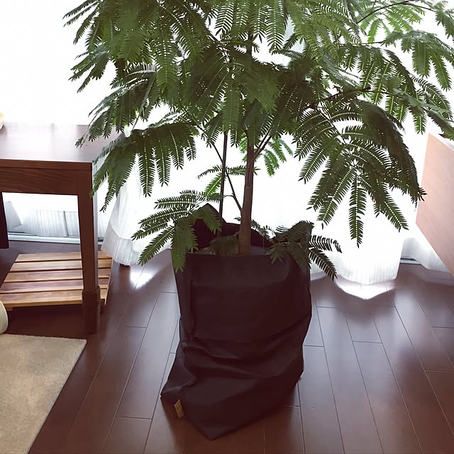 kurashi.naturalさんの実例写真