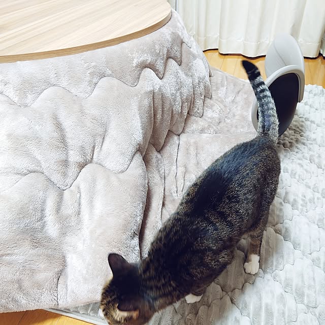 nachiさんの部屋