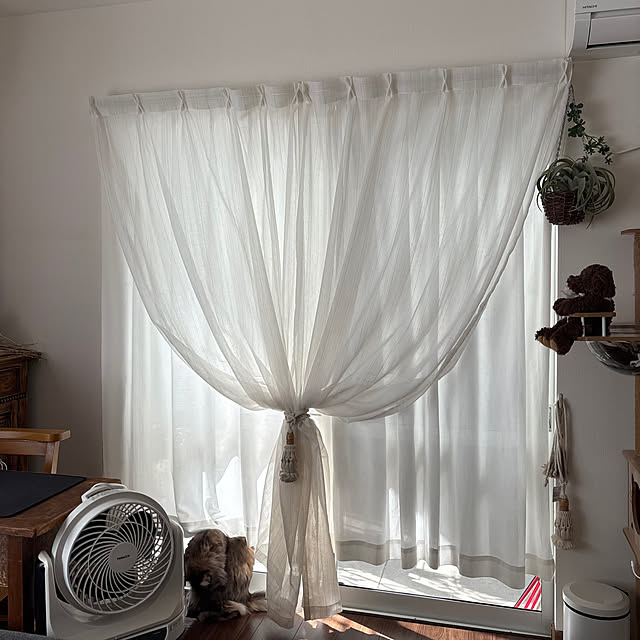 mayumiさんの部屋