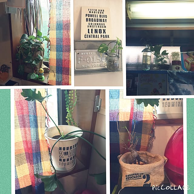 shibaさんの実例写真