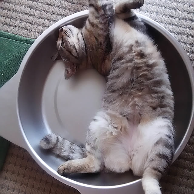 ranranさんの実例写真