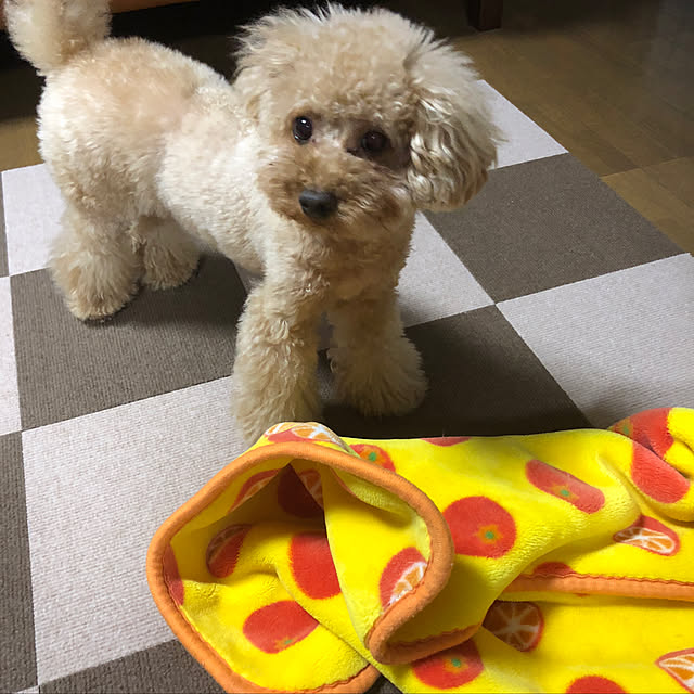 Kumikoさんの実例写真