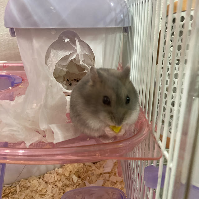 milkさんの実例写真
