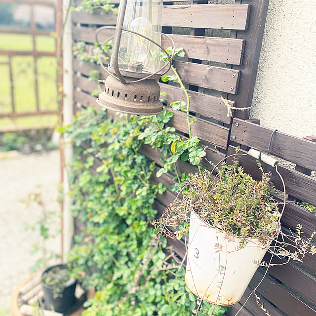 lukkaさんの実例写真