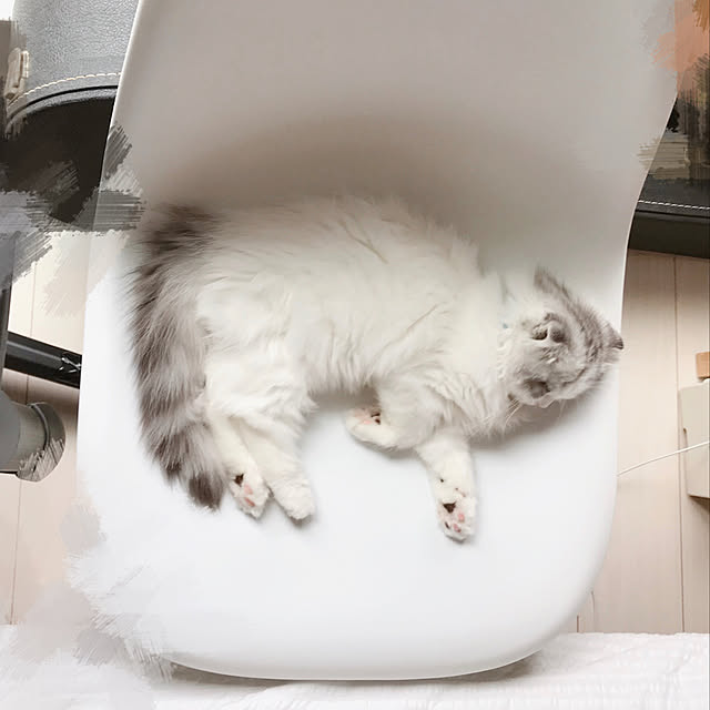 tanakaさんの実例写真