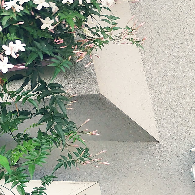 kasuさんの実例写真