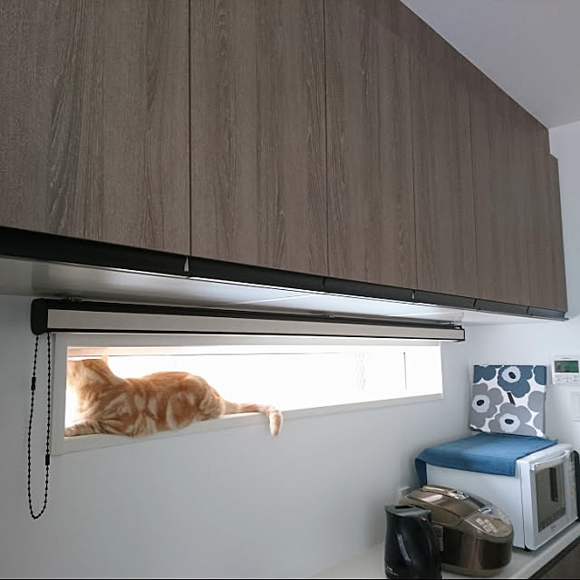 malmさんの実例写真