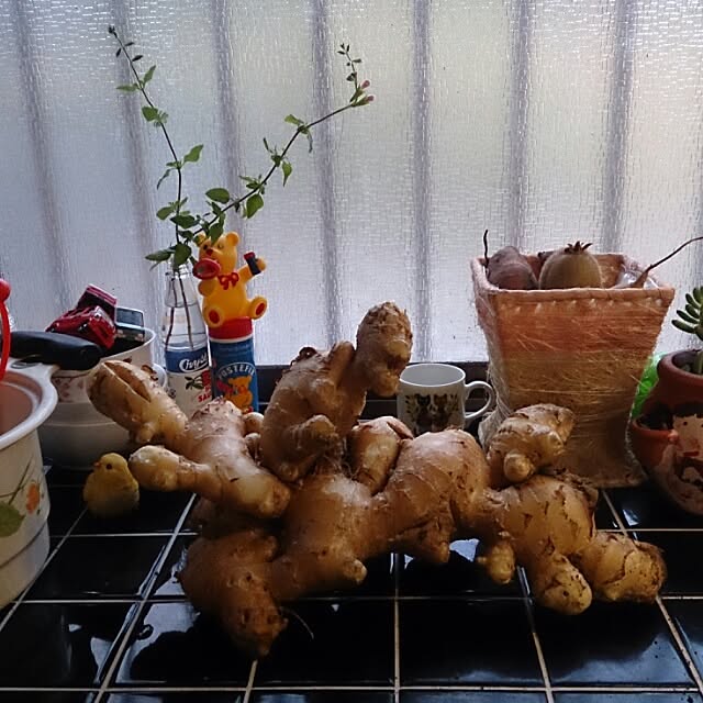 kikuさんの実例写真