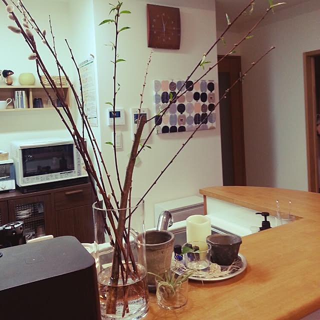 anrinyuさんの実例写真