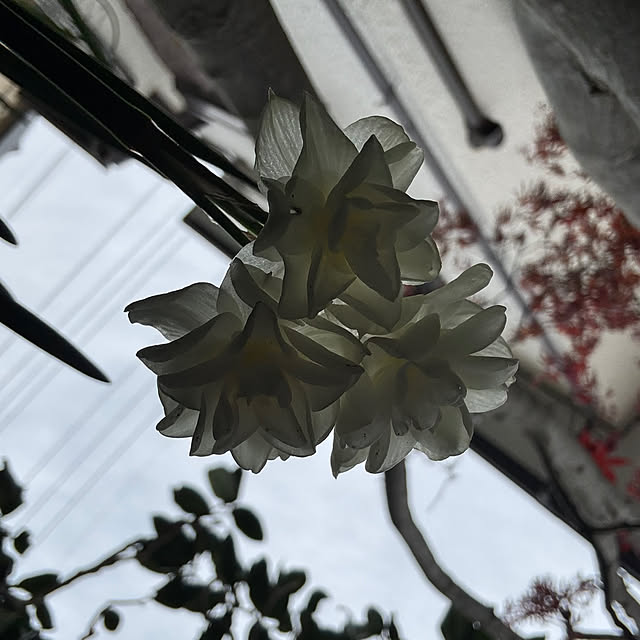 mamizaさんの部屋