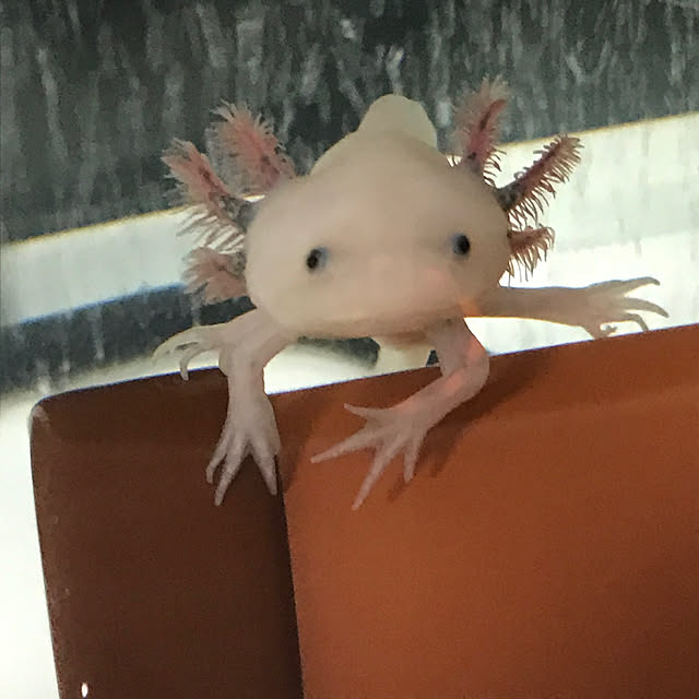 satatinさんの実例写真