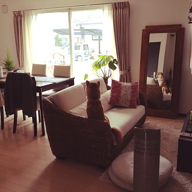 akoさんの実例写真