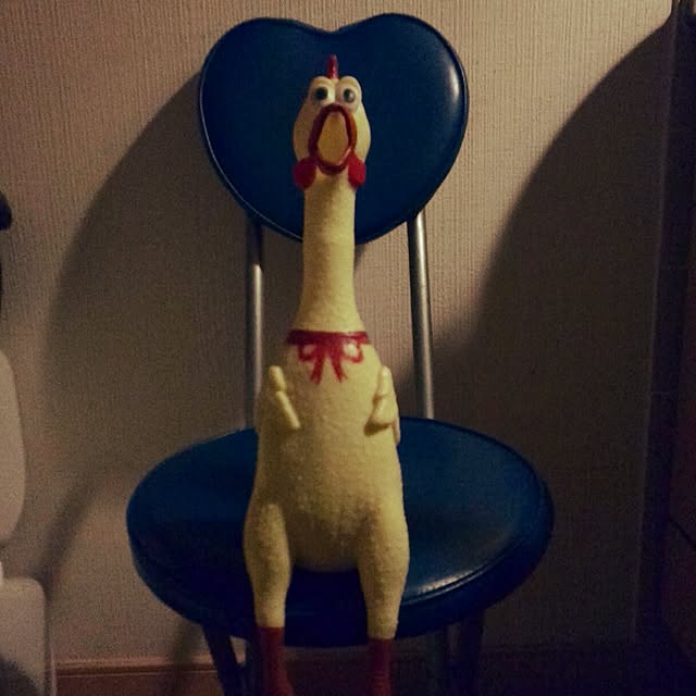 koicanさんの実例写真