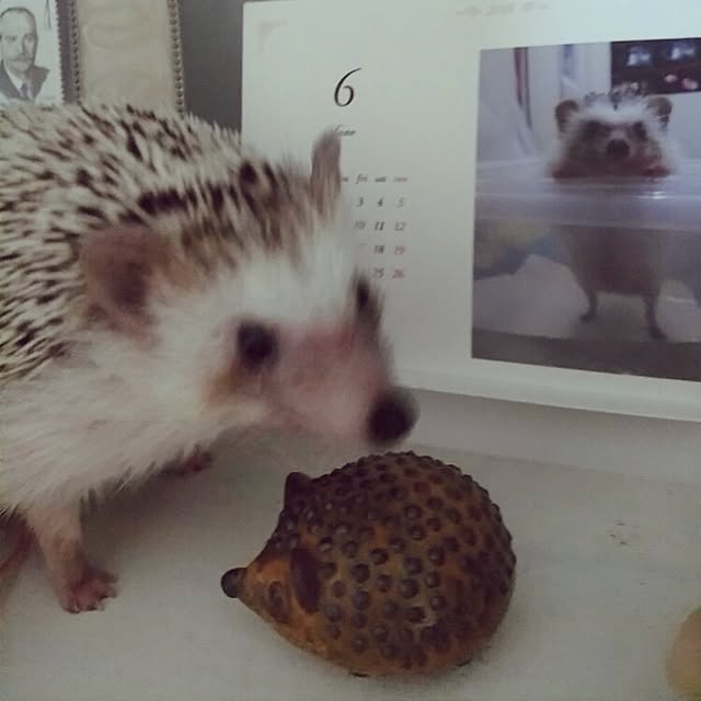 kuruさんの実例写真