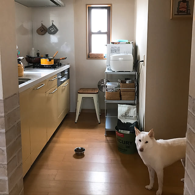 mkmf29さんの実例写真