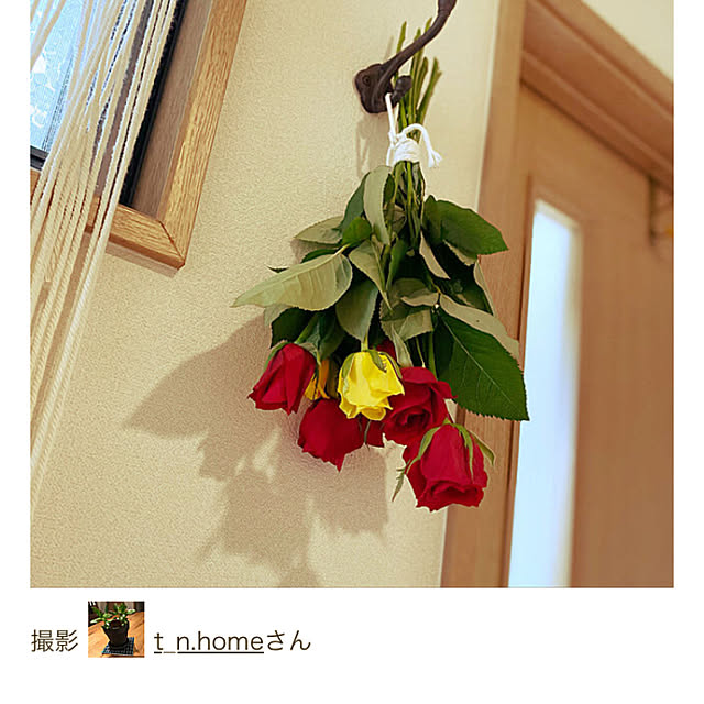 t_n.homeさんの実例写真