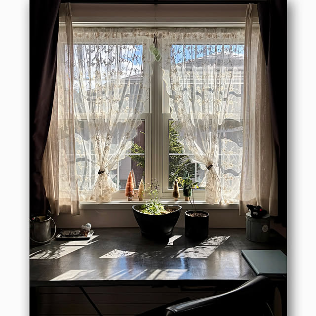 usagiさんの実例写真