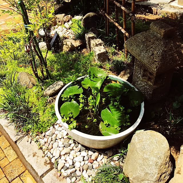 hanapinさんの実例写真