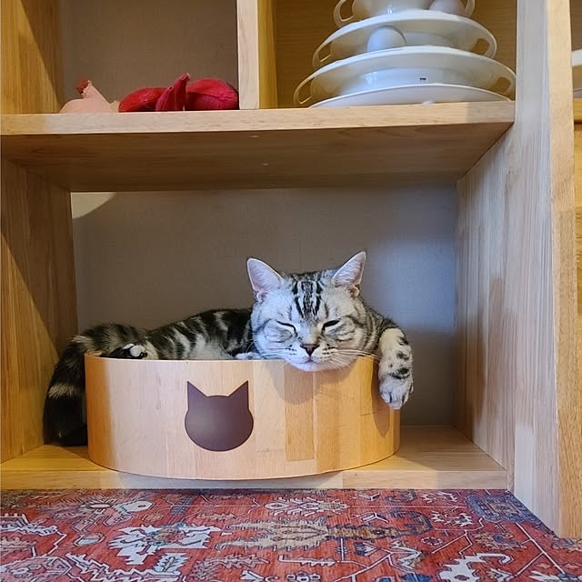 lovepeaceさんの部屋