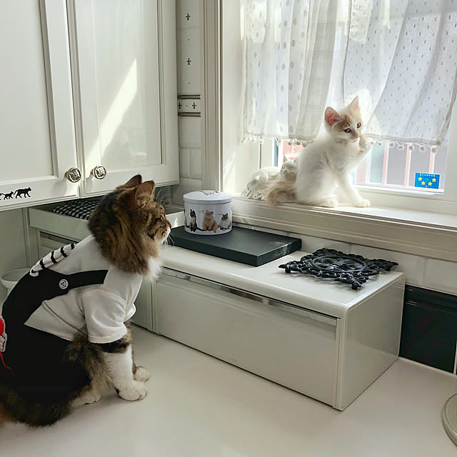 yuchiさんの実例写真