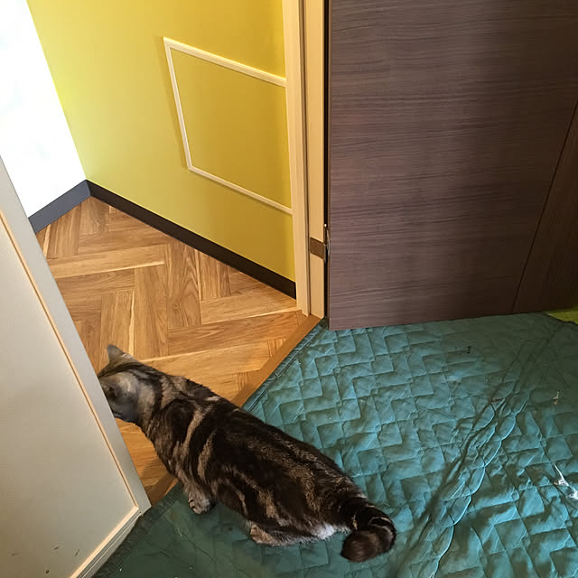 mikomaruさんの実例写真