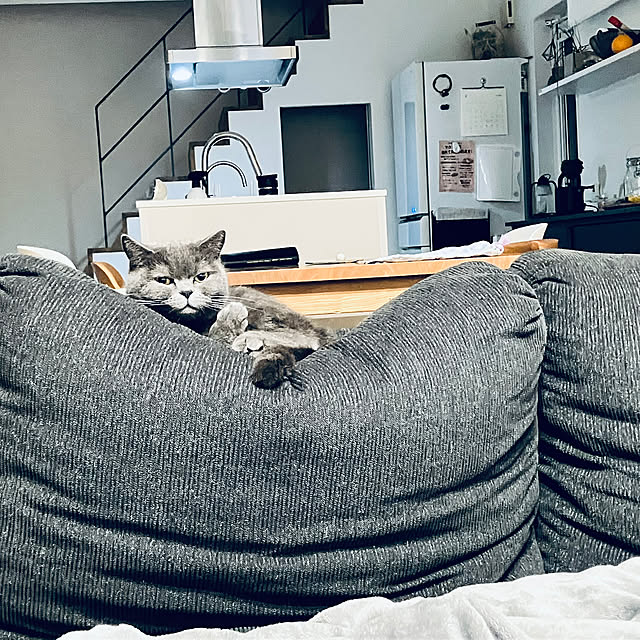 KOHAREさんの部屋