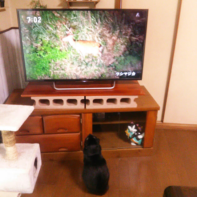 Tomopさんの実例写真