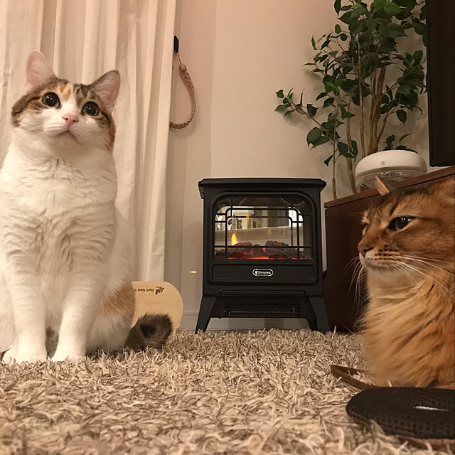 puniyumiさんの実例写真