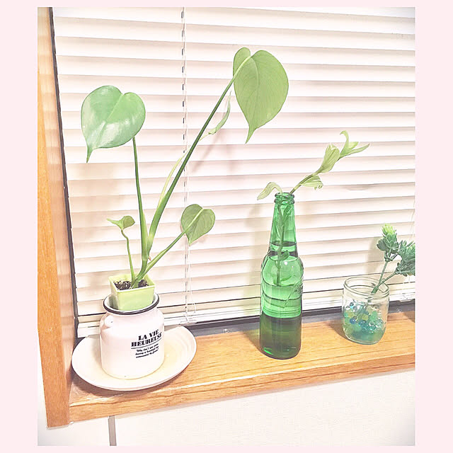 hatsu.0202さんの実例写真