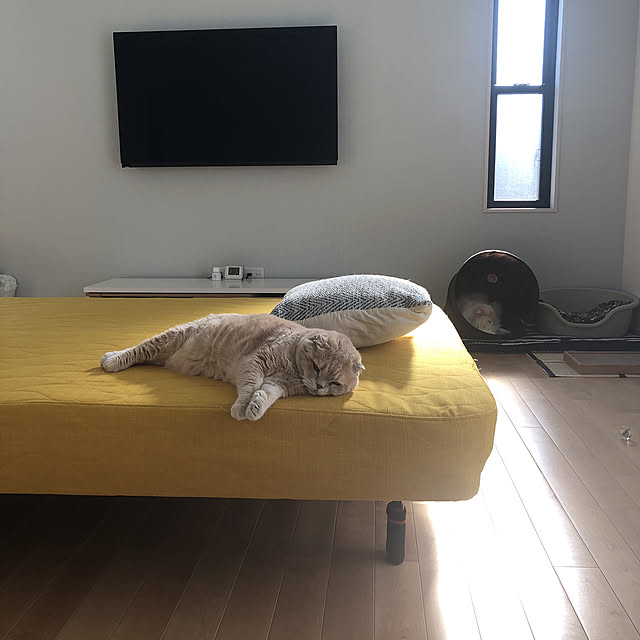 morepiさんの実例写真