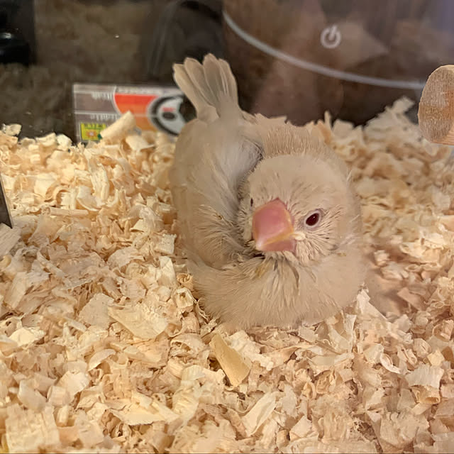 Tenさんの実例写真