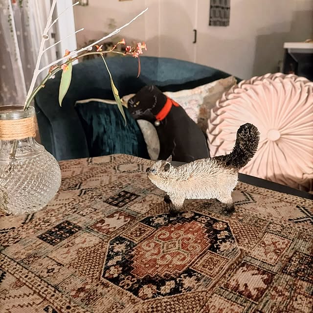 Maroさんの実例写真