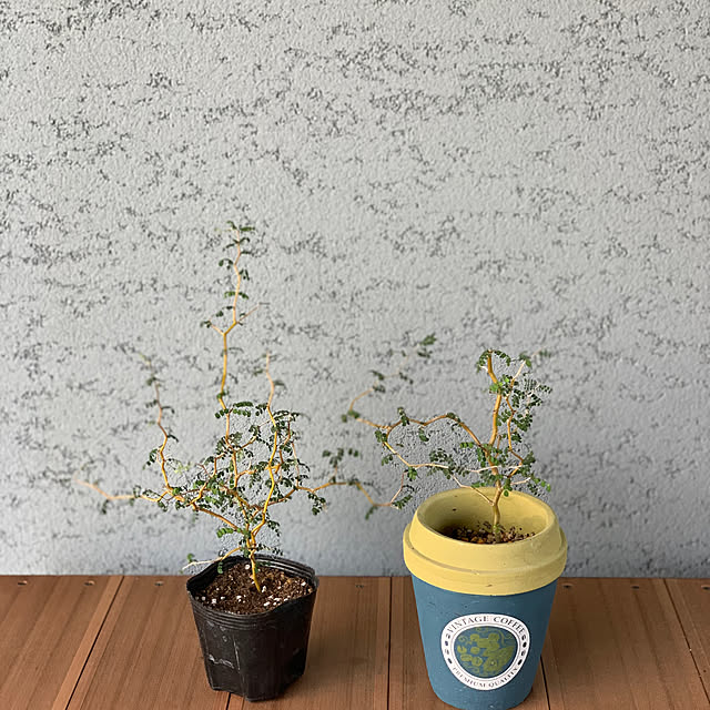 h_home.hさんの実例写真