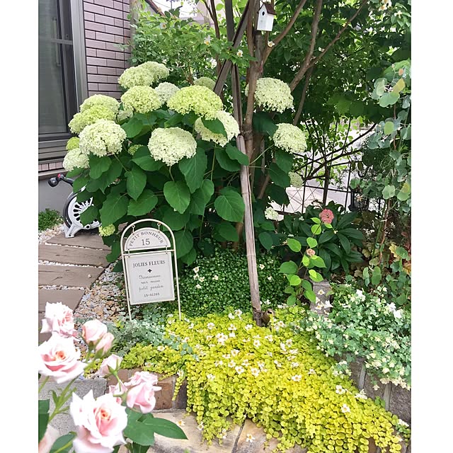 UNI.mamaさんの実例写真