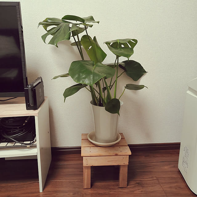shojiさんの実例写真