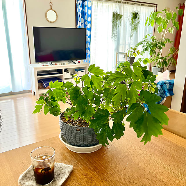65-24oxoさんの実例写真