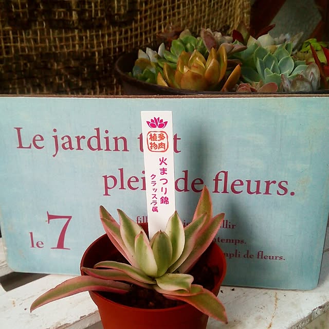 VERANDARJUNさんの実例写真