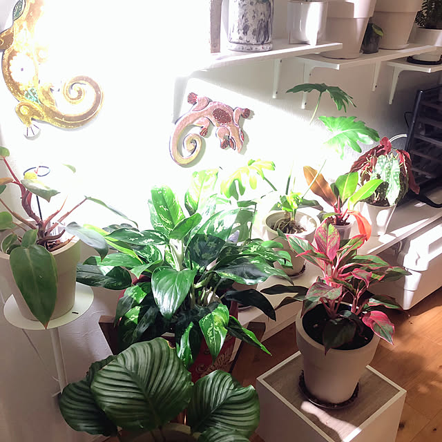 sashiさんの部屋