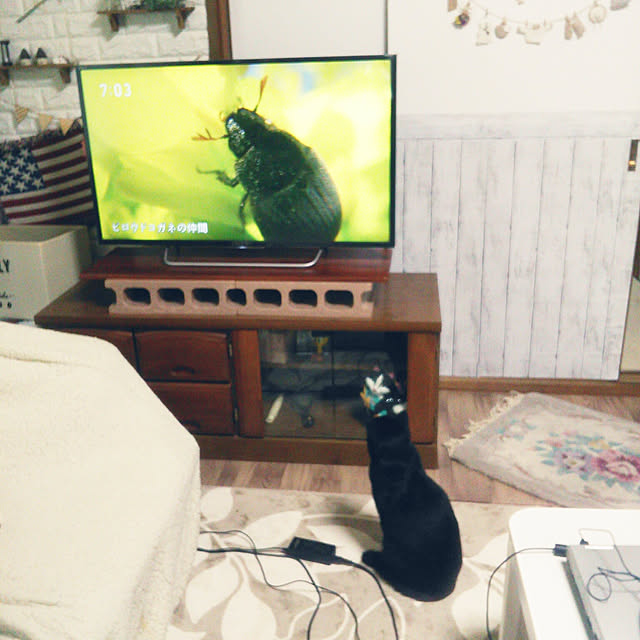 Tomopさんの実例写真