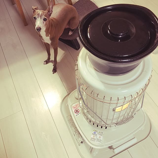 suzyさんの実例写真