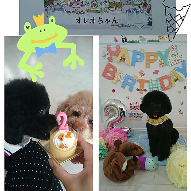 ucaさんの実例写真
