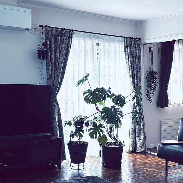 usagiさんの部屋