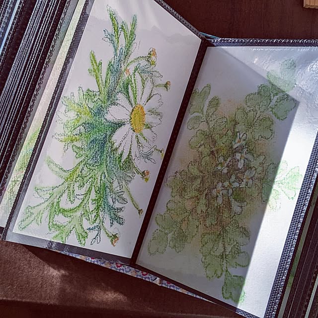mi-saさんの部屋