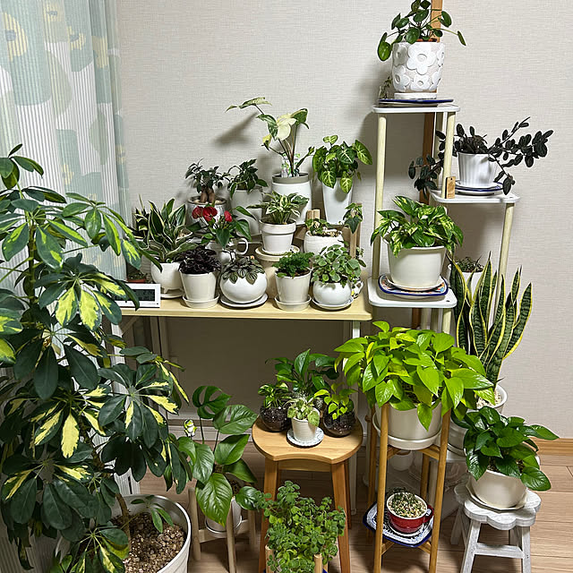 yoyoyoさんの実例写真