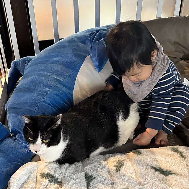 porinさんの部屋