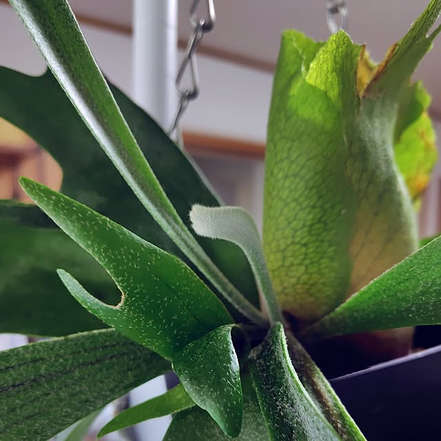 nachiさんの部屋