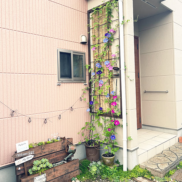 pekoさんの実例写真