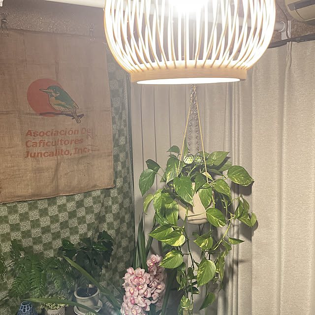shin0719さんの実例写真